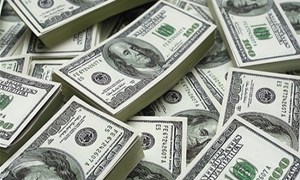 Dự trữ ngoại hối đạt 46 tỷ USD: “Tấm đệm” tốt cho các nhà đầu tư