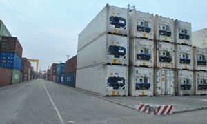  Hàng tồn đọng tại cảng Hải Phòng: Lộ diện nhiều hàng cấm