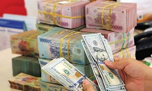 Kho bạc Nhà nước công bố tỷ giá hạch toán ngoại tệ tháng 10/2022