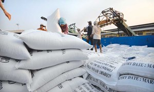 Việt Nam: Đầu tư chất lượng gạo xuất khẩu để vươn xa thế giới 