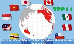 Thách thức và cơ hội của kinh tế Việt Nam sau Hiệp Định CPTPP