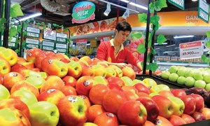 Thị trường bán lẻ Việt Nam: Cuộc đua giành thị phần ngày càng khốc liệt