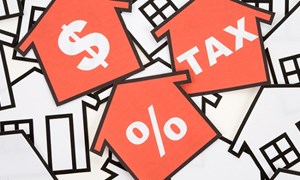 Trường hợp nào được khôi phục mã số thuế?