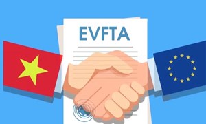 Cơ hội vàng từ Hiệp định EVFTA: Việt Nam cần làm gì để tận dụng?