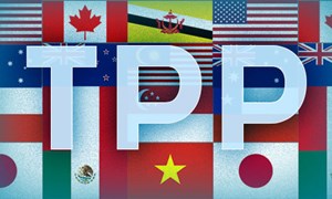 TPP bước vào chặng cuối