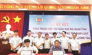 Hải quan Bà Rịa-Vũng Tàu: Phát triển quan hệ đối tác Hải quan - doanh nghiệp
