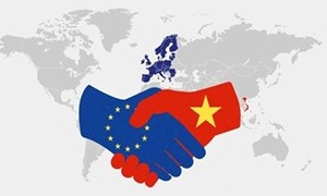  Đầu tư của EU vào Việt Nam như thế nào? 