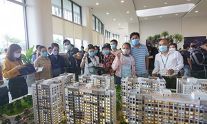  Thị trường bất động sản ven TP. Hồ Chí Minh: Hơn 65% người mua là để đầu tư
