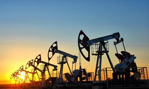Nhật cố gắng vận động hành lang các “đại gia” dầu mỏ để làm giảm giá dầu