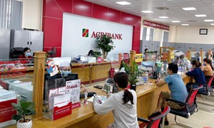 Agribank hướng tới ngân hàng phục vụ 