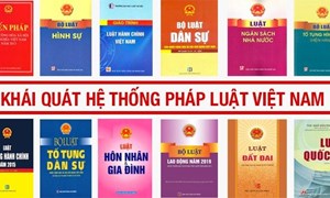 Bàn về hoạt động pháp điển hoá hệ thống quy phạm pháp luật ở Việt Nam 