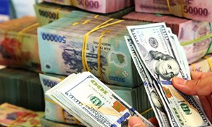Kho bạc Nhà nước công bố tỷ giá hạch toán ngoại tệ tháng 12/2021