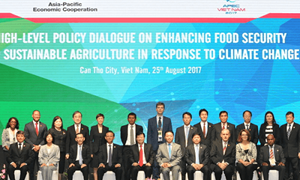 Bảo đảm an ninh lương thực và phát triển nông nghiệp bền vững trong khu vực APEC