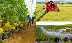 Năm 2021: Ngành Nông nghiệp đạt nhiều kết quả vượt bậc
