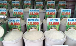 Cảnh giác với chiêu lừa góp vốn kinh doanh gạo