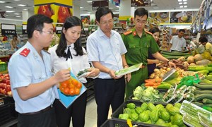 Kiểm tra an toàn thực phẩm hàng hóa nhập khẩu bảo đảm thuận lợi cho hoạt động sản xuất kinh doanh
