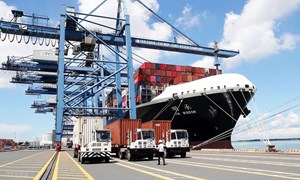 Đề xuất điều chỉnh biểu thuế xuất nhập khẩu ưu đãi đối với một số mặt hàng 