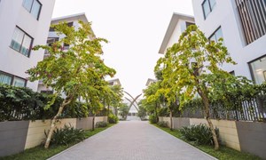 Biệt thự Khai Sơn Hill dẫn đầu xu hướng “nghỉ dưỡng” nội đô