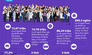 [Infographics] Đã có 15,67 triệu người tham gia bảo hiểm xã hội