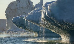 Hải lưu Nam Cực di chuyển nhanh hơn do biến đổi khí hậu