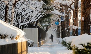 Hình ảnh tuyết rơi kỷ lục tại Tokyo gây cản trở giao thông