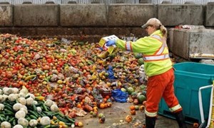 [Video] Quốc gia ít lãng phí thực phẩm nhất thế giới