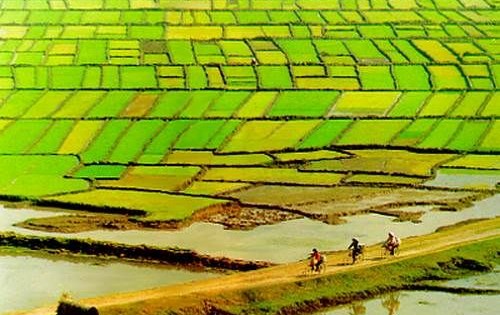 Thu xếp nguồn vốn 1 tỷ USD cho phát triển bền vững Đồng bằng sông Cửu Long