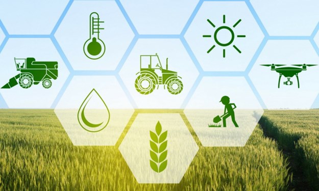 Hướng tới mô hình sản xuất xanh trong nông nghiệp