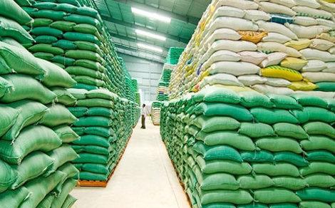 2.924 tỉ đồng cho vay thu mua, tiêu thụ lúa gạo