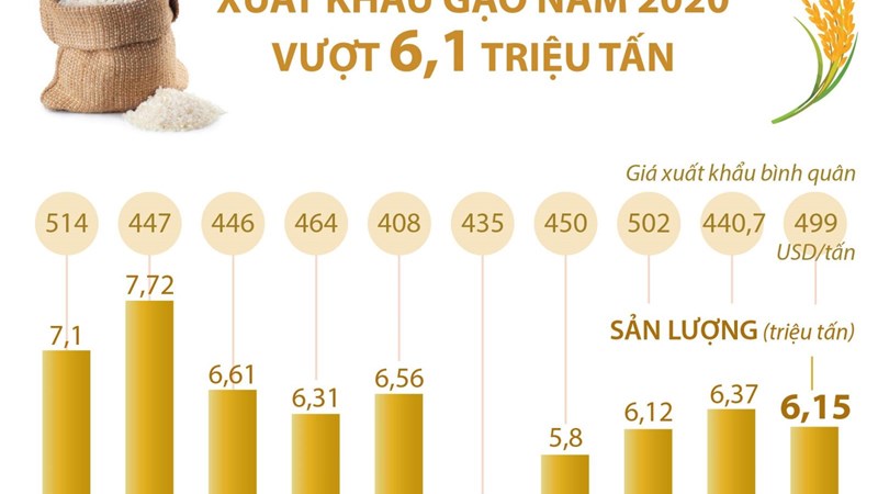 [Infographics] Năm 2020 xuất khẩu gạo của cả nước vượt 6,1 triệu tấn