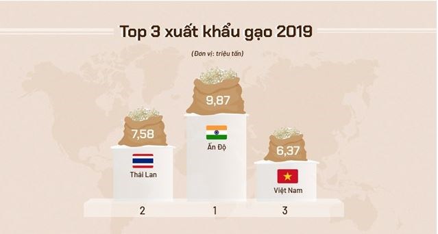 [Infographics] Việt Nam xuất khẩu gạo thế nào 