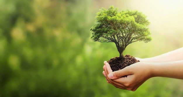 6 giải pháp nâng cao tính hiệu quả trong sử dụng nguồn lực về bảo vệ môi trường
