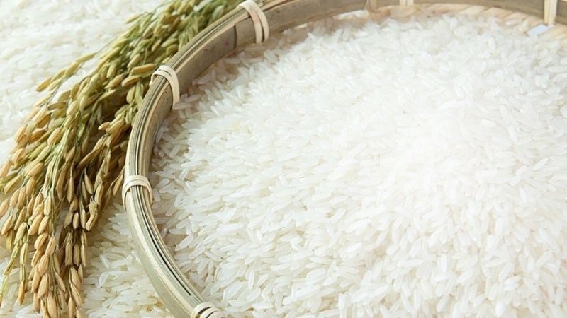 Cuối tuần, giá gạo nguyên liệu xu hướng giảm