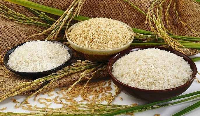 Ngày 17/6, giá gạo nguyên liệu tăng trở lại