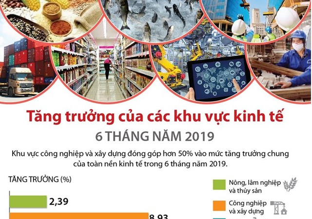 [Infographic] Tăng trưởng của các khu vực kinh tế 6 tháng năm 2019