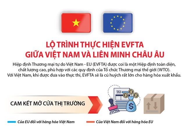 [Infographics] Lộ trình thực hiện EVFTA giữa Việt Nam và Liên minh châu Âu