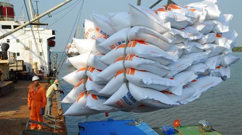 Tạm ứng trước hạn ngạch 100.000 tấn gạo xuất khẩu trong tháng 5