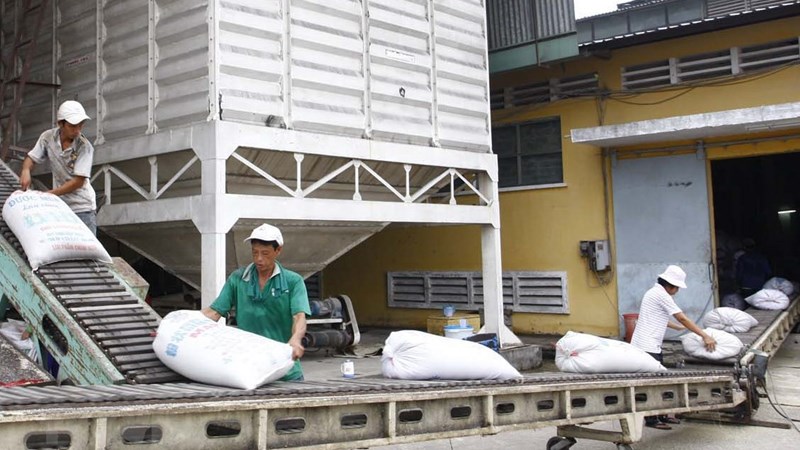 Tổng cục Hải quan loại 161 tờ khai của 22 doanh nghiệp không có gạo tại cảng