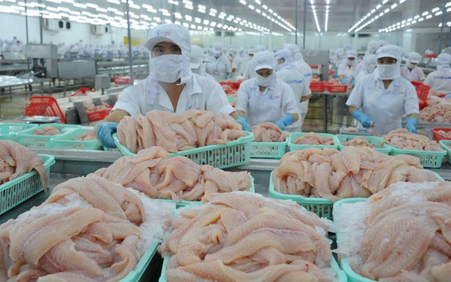 Hoa Kỳ giảm thuế cho doanh nghiệp xuất khẩu cá tra của Việt Nam