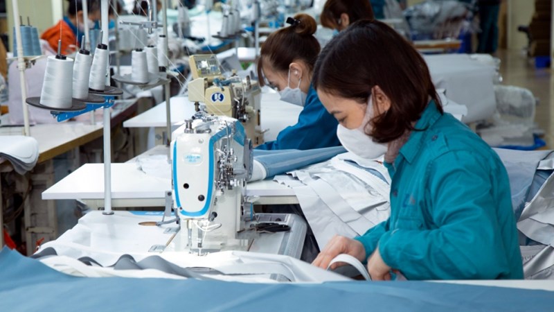Doanh nghiệp xuất nhập khẩu trong 