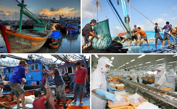 Gỡ cảnh báo “thẻ vàng” của EC, bảo vệ uy tín ngành Thủy sản Việt Nam