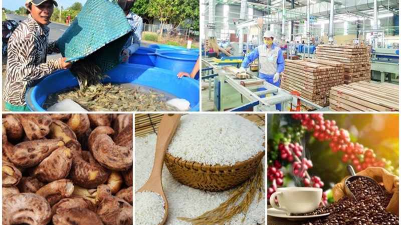 Xuất khẩu nông sản sang EU: Doanh nghiệp cần lưu ý gì?