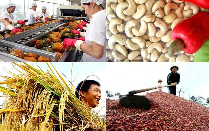 Làm cách nào để đẩy mạnh xuất khẩu nông sản Việt Nam?