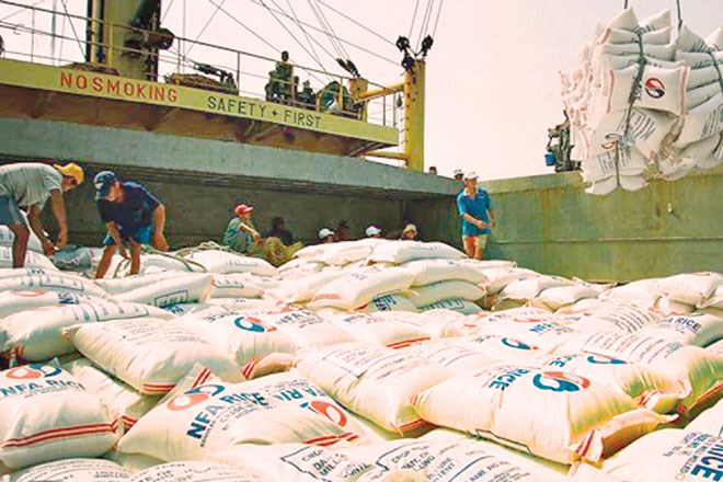 Xuất khẩu gạo - Khởi sắc đầu năm