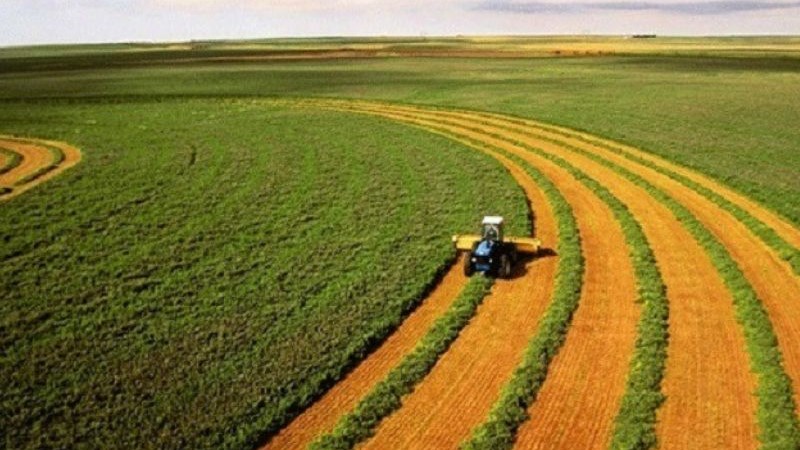 Quy định mới về bồi thường, hỗ trợ khi thu hồi đất nông nghiệp do cán bộ, công chức đang sử dụng