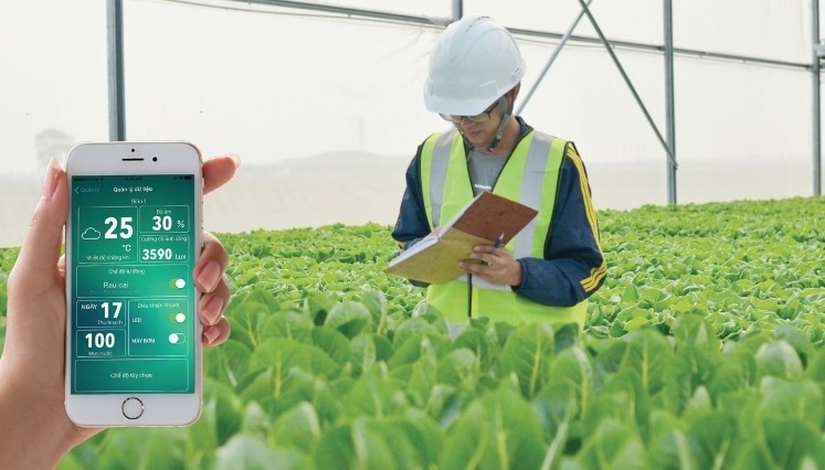 Mô hình chuỗi giá trị ứng dụng công nghệ cao trong nông nghiệp 