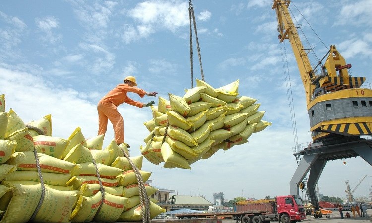 Thêm 42 doanh nghiệp được cấp phép xuất khẩu gạo