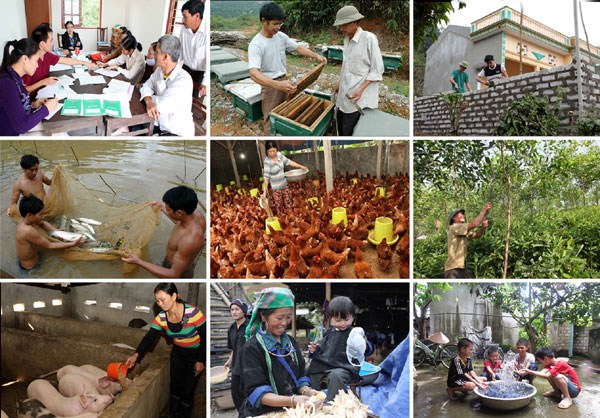 Các xu hướng ảnh hưởng đến công tác giảm nghèo ở Việt Nam hiện nay 