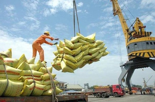 Xuất khẩu gạo năm 2022 được dự báo sản lượng tăng nhưng lợi nhuận giảm