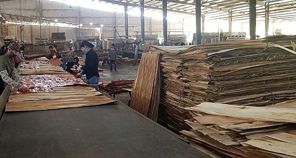 Cần có biện pháp hạn chế các rủi ro trong luồng gỗ nhập khẩu
